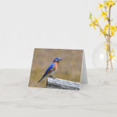 Bluebird Notecard Kaart (Gele Bloem)