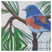Bluebird occidental en tissu de pin (Fermer)