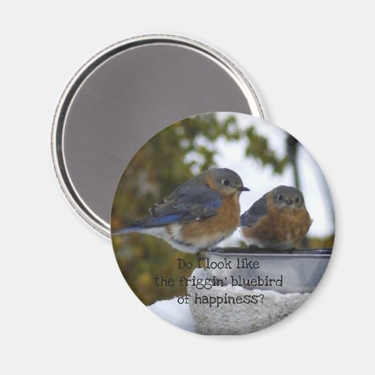 Bluebird of Happiness Comical Magneet (Voorkant / Achterkant)