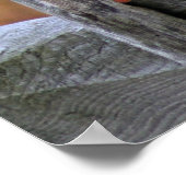 Bluebird of Happiness - Poster (Coin)