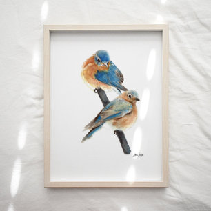 Bluebird Paar Waterverf Art Print