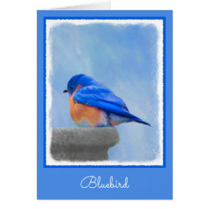 Bluebird Painting - Original Bird Art
