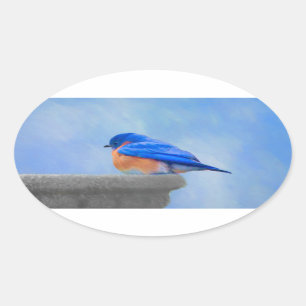 Bluebird Painting - Original Bird Art Ovale Sticker