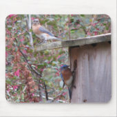Bluebird Pair Mousepad Muismat (Voorkant)