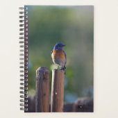 Bluebird Planner (Voorkant)