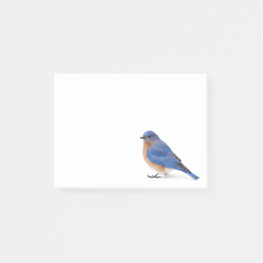 Bluebird Post-it® Notes (Voorkant)