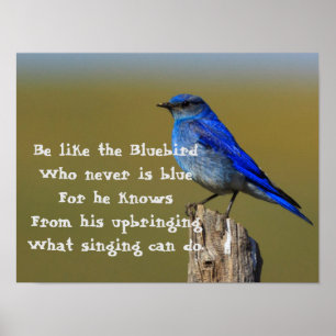 Bluebird Quote Poster