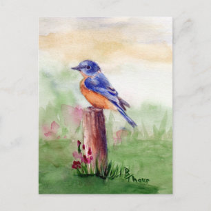 Bluebird Song Briefkaart