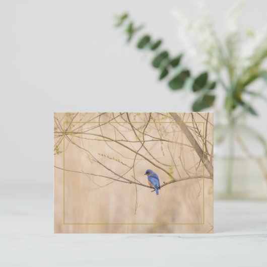 Bluebird Spring Briefkaart (Staand voorkant)