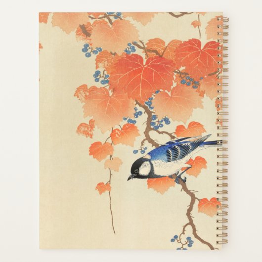 Bluebird sur un Paulownia Tree (Dos)