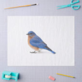 Bluebird Tissuepapier (Craft)