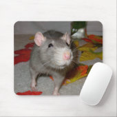 blueboe3 muismat (Met muis)