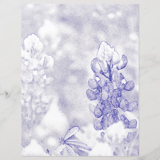 Bluebonnet (Achterkant)