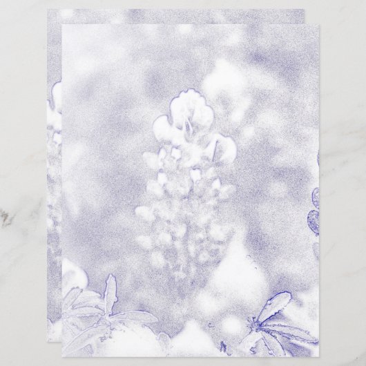 Bluebonnet (Voorkant / Achterkant)