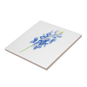 Bluebonnet 1 tegeltje (Zijkant)