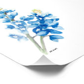 Bluebonnet 4 photo (Coin)