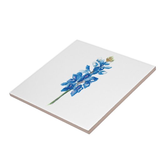 Bluebonnet 5 tegeltje (Zijkant)