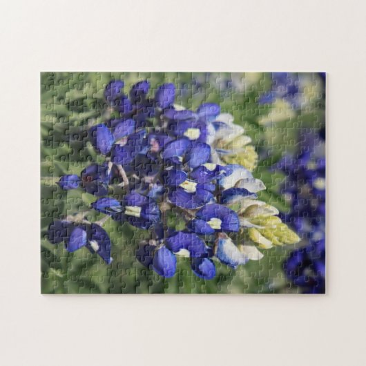 Bluebonnet de puzzle (Horizontal)