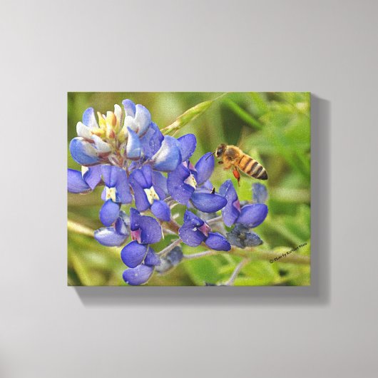 Bluebonnet en Bee fotocanvas Canvas Afdruk (Voorkant)