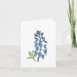 Bluebonnet en ligne et laver 1 sur 4 blanc