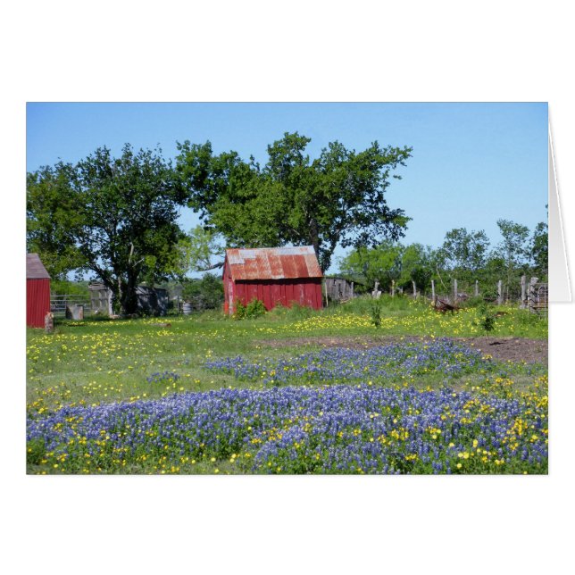 Bluebonnet Farm (Devant Horizontal)