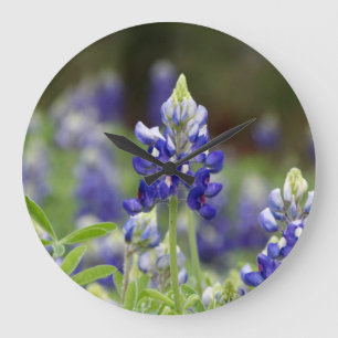 Bluebonnet Field  Grote Klok