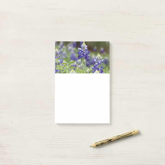 Bluebonnet Field Post to Notes (Op bureau)