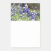 Bluebonnet Field Post to Notes (Voorkant)