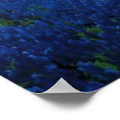 Bluebonnet Field, tableau de Julian Onderdonk (Coin)