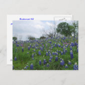 Bluebonnet Hill Briefkaart (Voorkant / Achterkant)