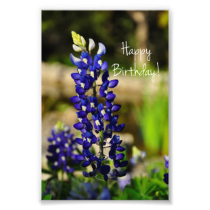 Bluebonnet "Joyeux anniversaire" Photo Imprimer