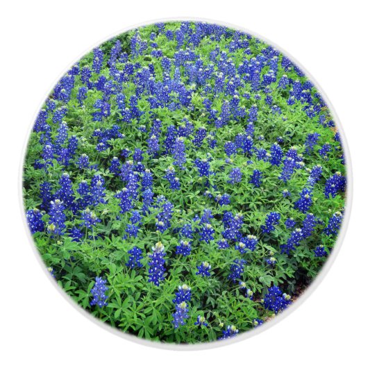 Bluebonnet-knop Keramische Knop (Voorkant)