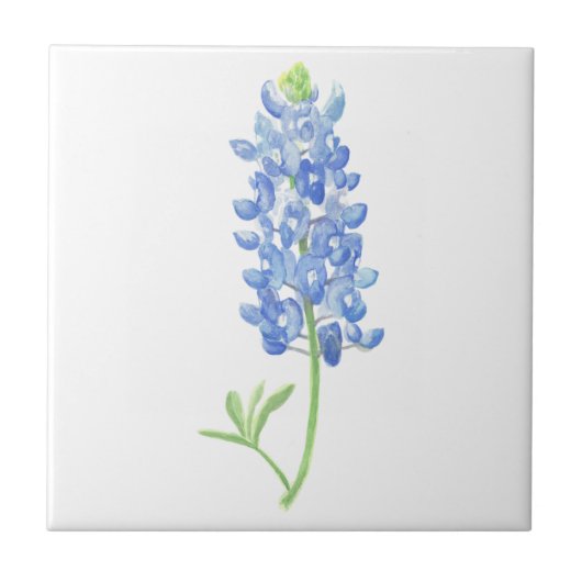 Bluebonnet Tegeltje (Voorkant)