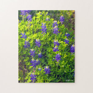 Bluebonnet Texas Flower Schilderachtig Floral foto Legpuzzel