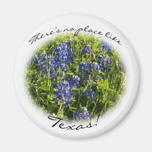 Bluebonnet "There's No Place Like Texas" Magneet