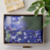 Bluebonnet Tissuepapier (Geschenk)