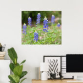 Bluebonnet Wildbloemen Poster (Thuiskantoor)