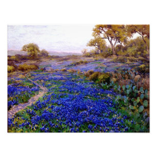 Bluebonnets at Twilight, ten noorden van San Anton Foto Afdruk