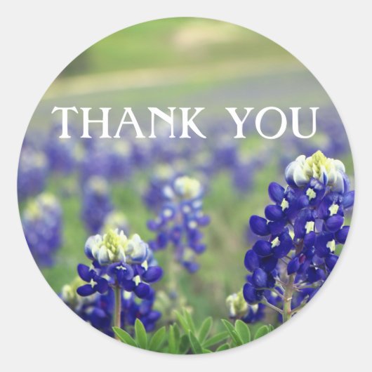 Bluebonnets Blauwe Bloemen Texas Bloemig Ronde Sticker (Voorkant)