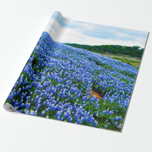 Bluebonnets Blue Floral Texas Texan Elegant Cadeaupapier (Uitgerold)