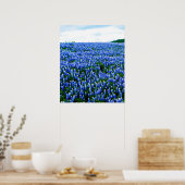 Bluebonnets Blue Flowers Texas Texan Floral Poster (Cuisine)