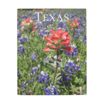 Bluebonnets du Texas