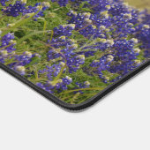 Bluebonnets du Texas par une clôture de ferme de c (Coin)