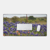 Bluebonnets du Texas par une clôture de ferme de c (Clavier et souris)