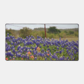 Bluebonnets du Texas par une clôture de ferme de c (Recto)