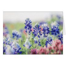 Bluebonnets en pastel