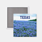 Bluebonnets Fleurs Bleues Texas Texan Aimant Flora (Recto/Verso)
