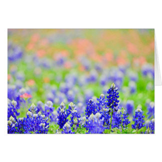 Bluebonnets in Evening