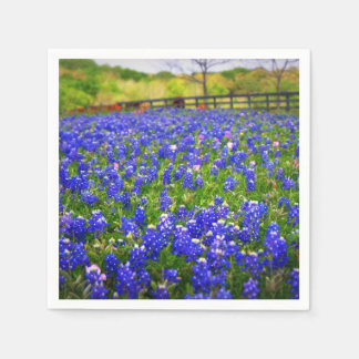 Bluebonnets in Texas Servetten
