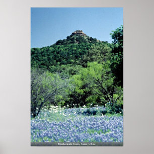 Bluebonnets, Llano, Texas, VS Poster